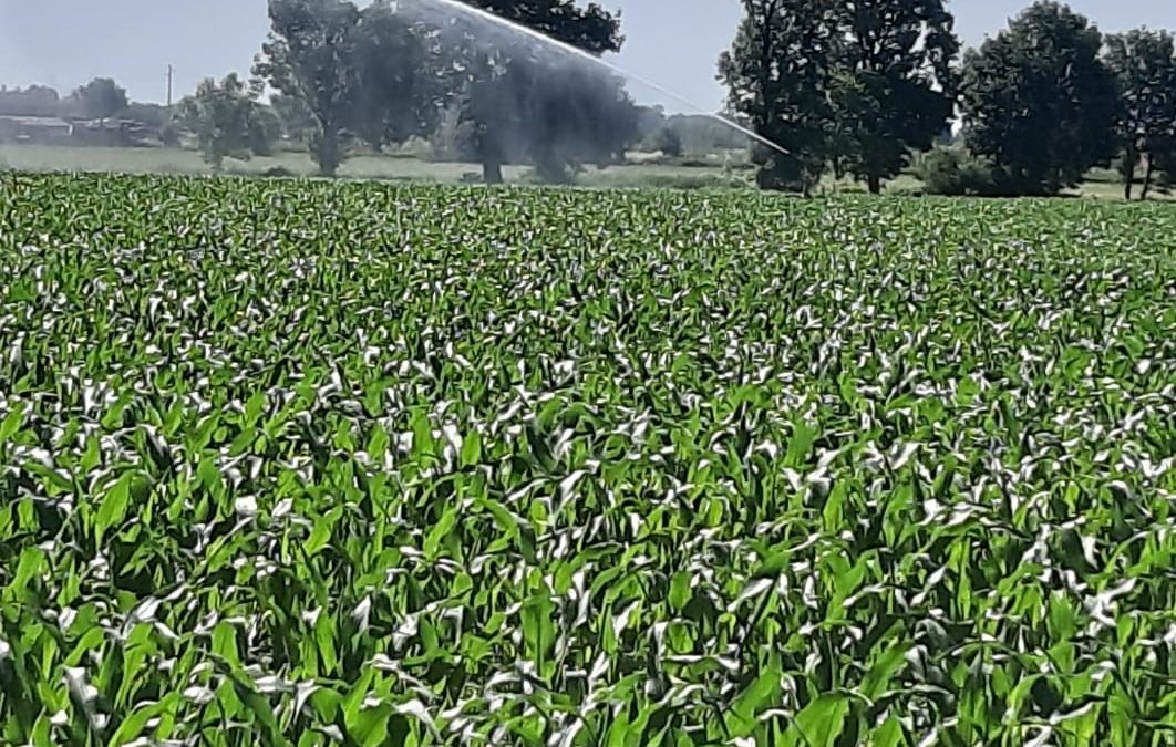 Ristagni idrici al Nord e siccità al Sud