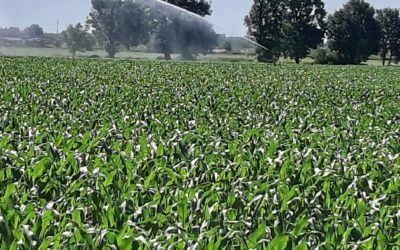 Ristagni idrici al Nord e siccità al Sud