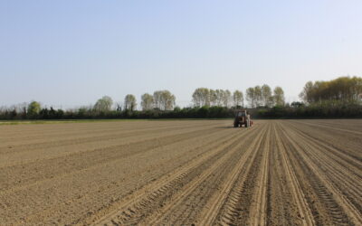 Semine 2022-2023: grano e orzo, o soia e mais?