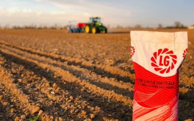 Previsioni meteo inverno 2022-2023: gelo da inizio dicembre