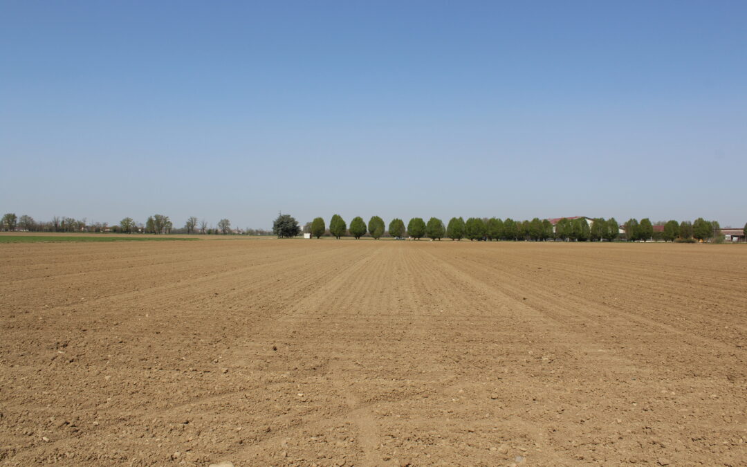 Prezzi del latte: storico italiano e previsioni europee