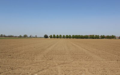 Prezzi del latte: storico italiano e previsioni europee