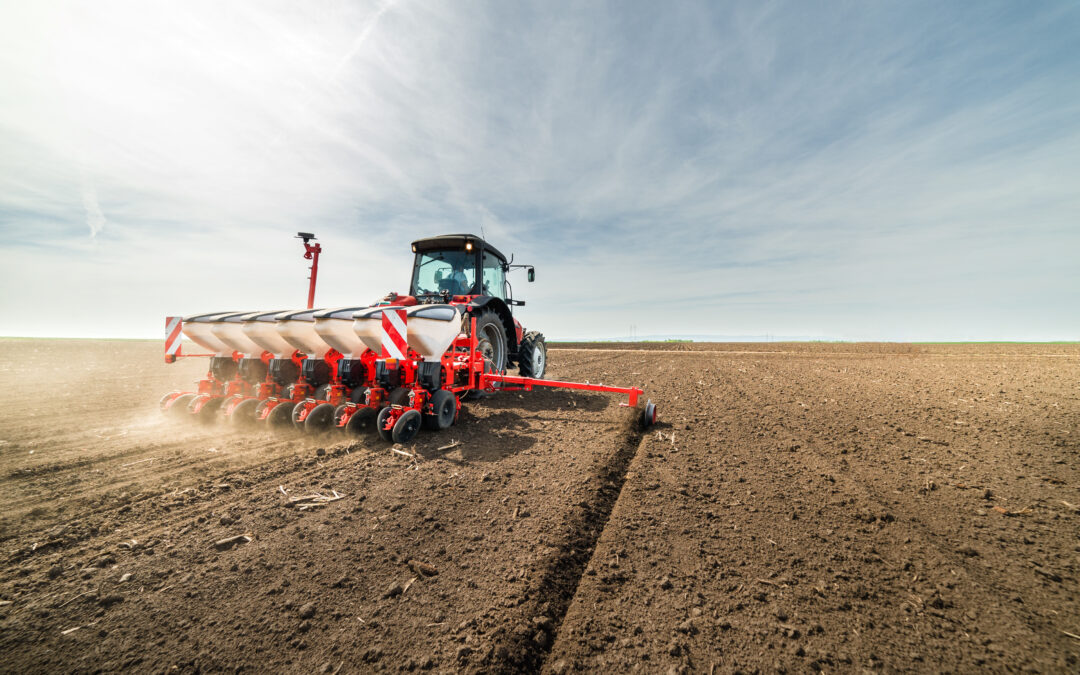 Preparazione letto di semina