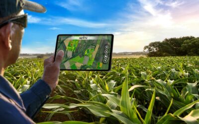 Strumenti digitali innovativi per decisioni più precise