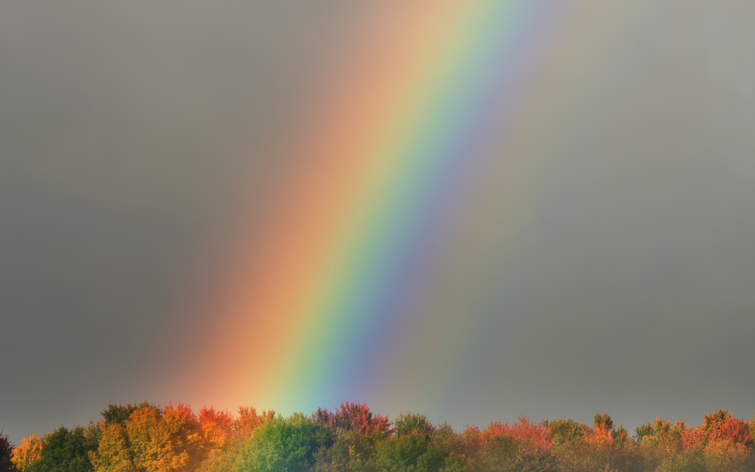 Raccolta di mais e soia: il meteo per l’autunno 2024